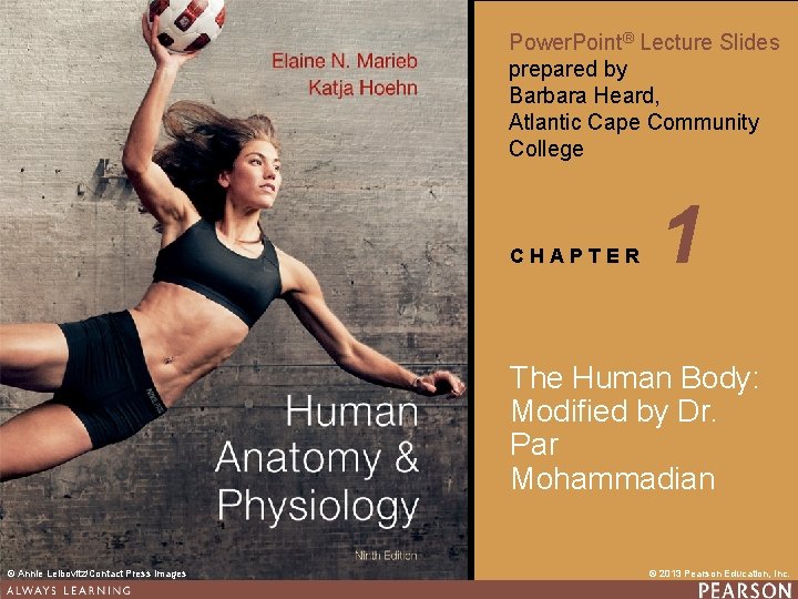 Power. Point® Lecture Slides prepared by Barbara Heard, Atlantic Cape Community College CHAPTER 1