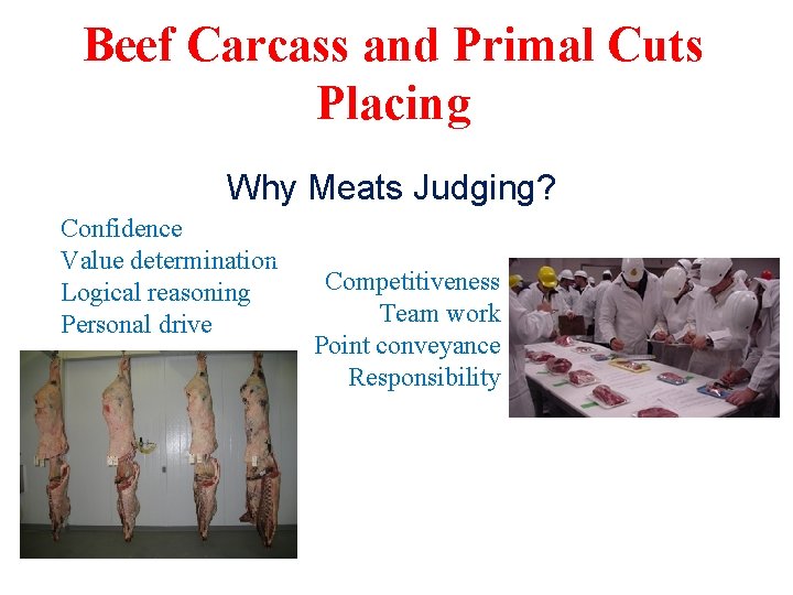 Beef Carcass and Primal Cuts Placing Why Meats Judging? Confidence Value determination Logical reasoning