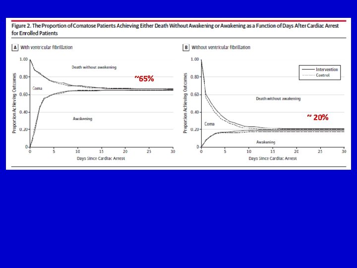 ~65% ~ 20% ~65% ~ 20%