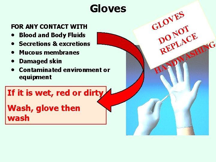 Gloves FOR ANY CONTACT WITH • Blood and Body Fluids • Secretions & excretions Gloves FOR ANY CONTACT WITH • Blood and Body Fluids • Secretions & excretions
