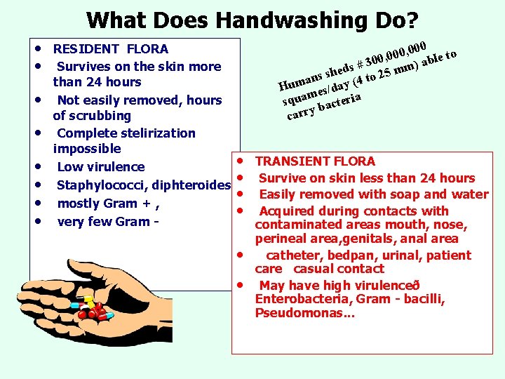What Does Handwashing Do? • • RESIDENT FLORA , 000 0 , e to What Does Handwashing Do? • • RESIDENT FLORA , 000 0 , e to