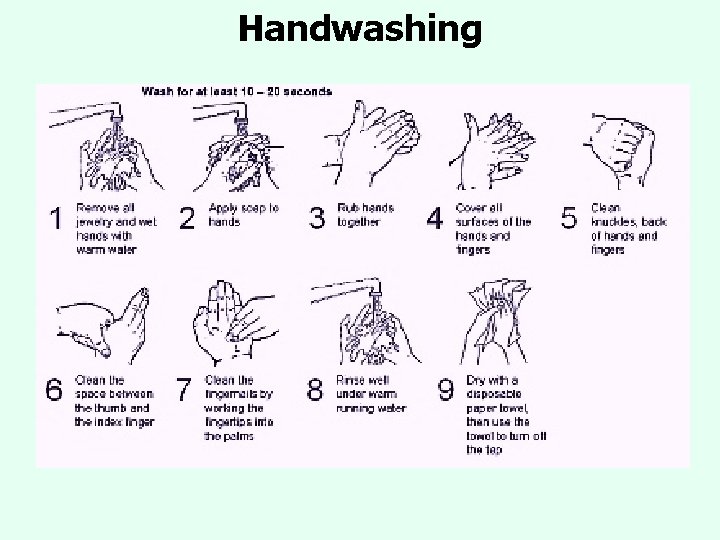 Handwashing Handwashing