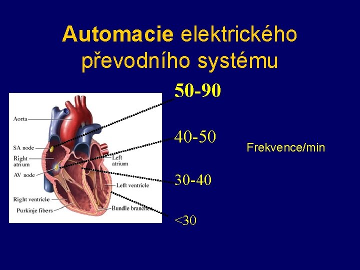 Automacie elektrického převodního systému 50 -90 40 -50 30 -40 <30 Frekvence/min 