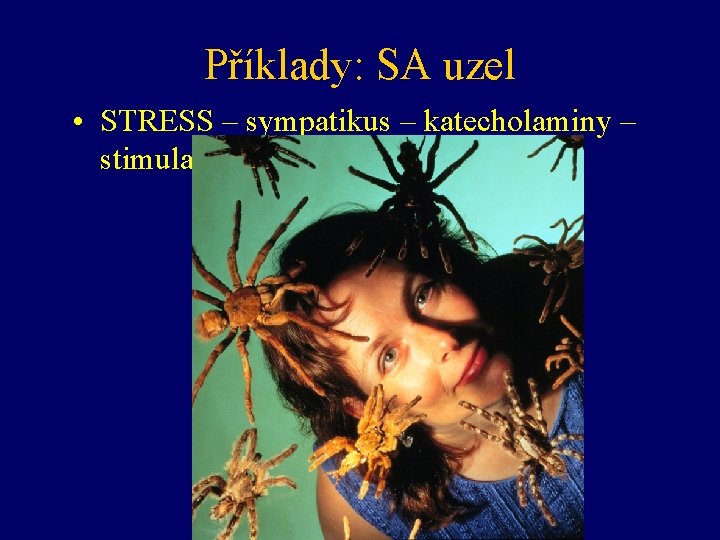 Příklady: SA uzel • STRESS – sympatikus – katecholaminy – stimulace SA uzlu –