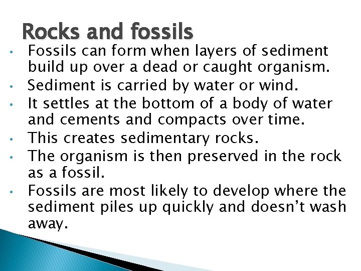  • • • Rocks and fossils Fossils can form when layers of sediment