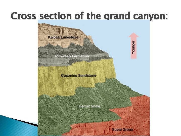 Cross section of the grand canyon: 