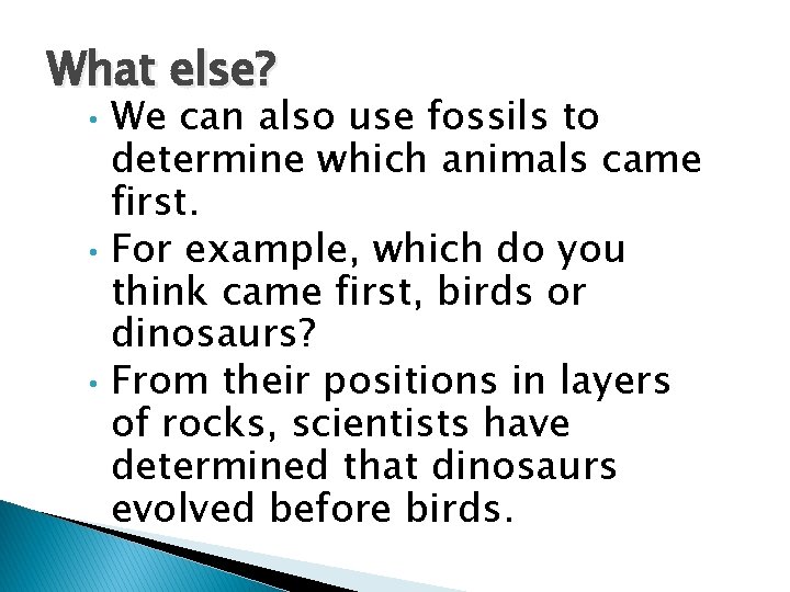What else? • • • We can also use fossils to determine which animals