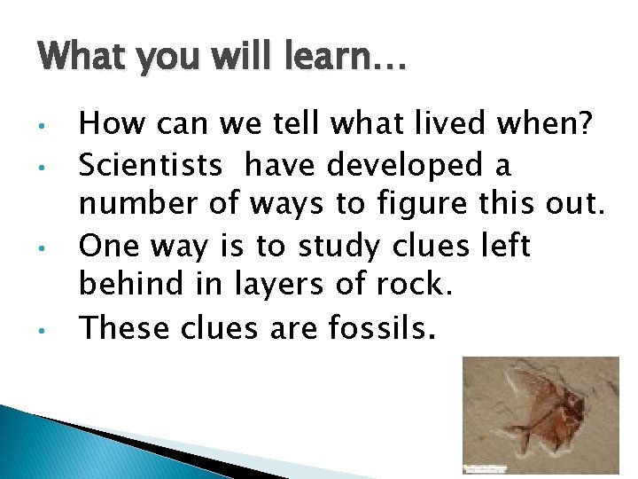 What you will learn… • • How can we tell what lived when? Scientists
