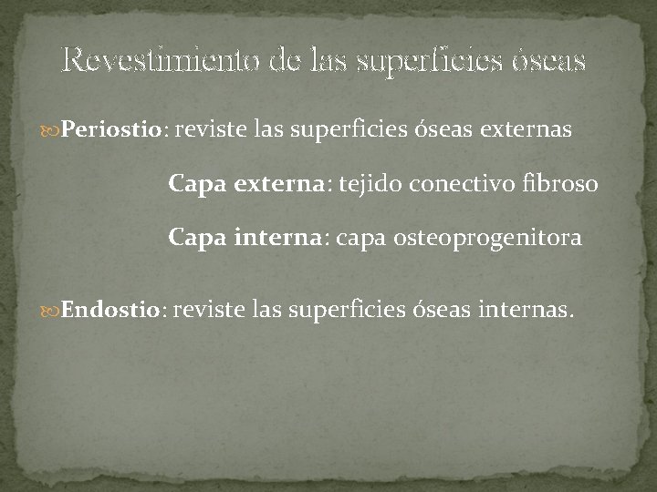 Revestimiento de las superficies óseas Periostio: reviste las superficies óseas externas Capa externa: tejido Revestimiento de las superficies óseas Periostio: reviste las superficies óseas externas Capa externa: tejido