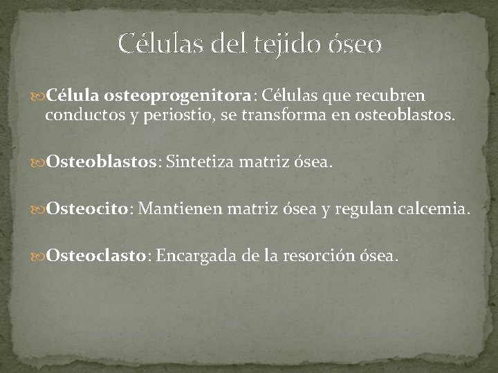 Células del tejido óseo Célula osteoprogenitora: Células que recubren conductos y periostio, se transforma Células del tejido óseo Célula osteoprogenitora: Células que recubren conductos y periostio, se transforma