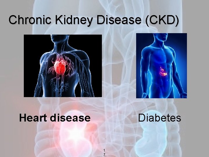 Chronic Kidney Disease (CKD) Heart disease Diabetes 1 7 