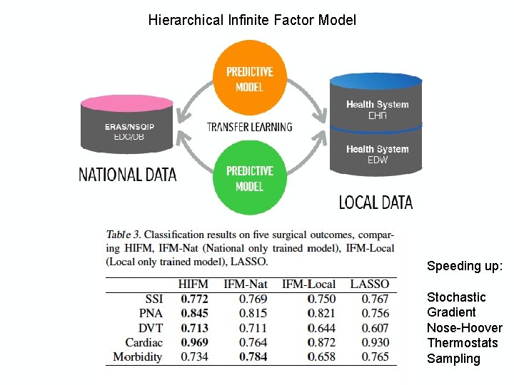 Hierarchical Infinite Factor Model Speeding up: Stochastic Gradient Nose-Hoover Thermostats Sampling 