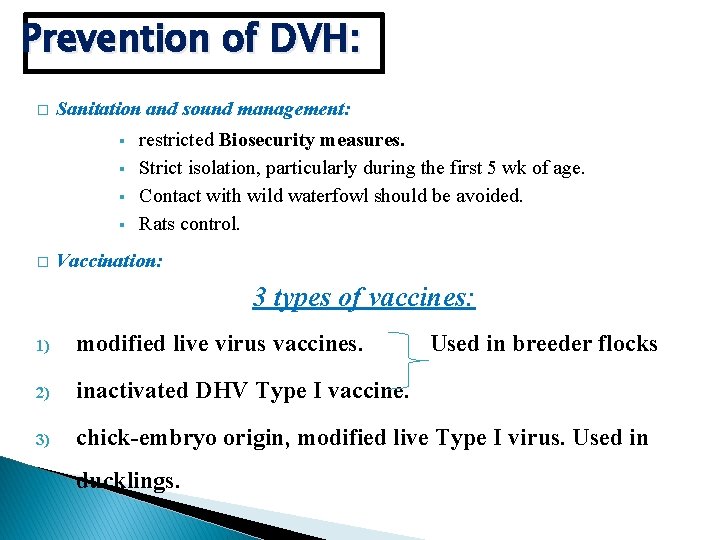 Prevention of DVH: � Sanitation and sound management: § § � restricted Biosecurity measures.
