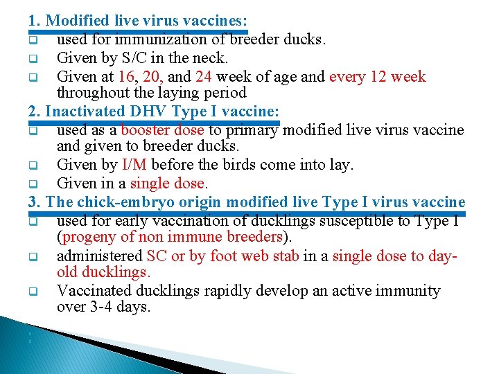 1. Modified live virus vaccines: q used for immunization of breeder ducks. q Given
