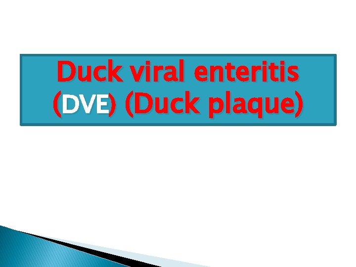 Duck viral enteritis (DVE) (Duck plaque) 