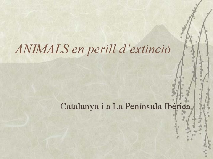 ANIMALS en perill d’extinció Catalunya i a La Península Ibérica 