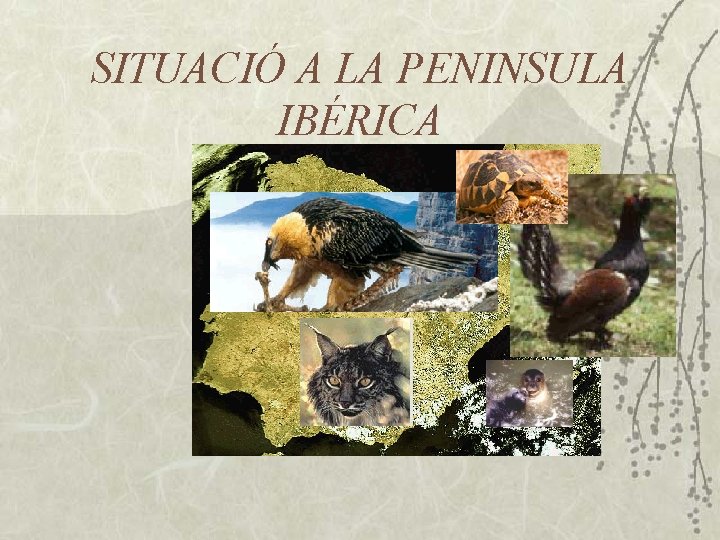 SITUACIÓ A LA PENINSULA IBÉRICA 