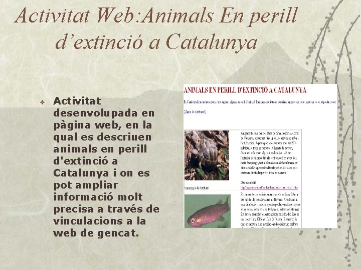 Activitat Web: Animals En perill d’extinció a Catalunya v Activitat desenvolupada en pàgina web,