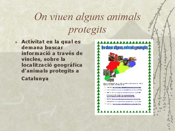 On viuen alguns animals protegits v Activitat en la qual es demana buscar informació