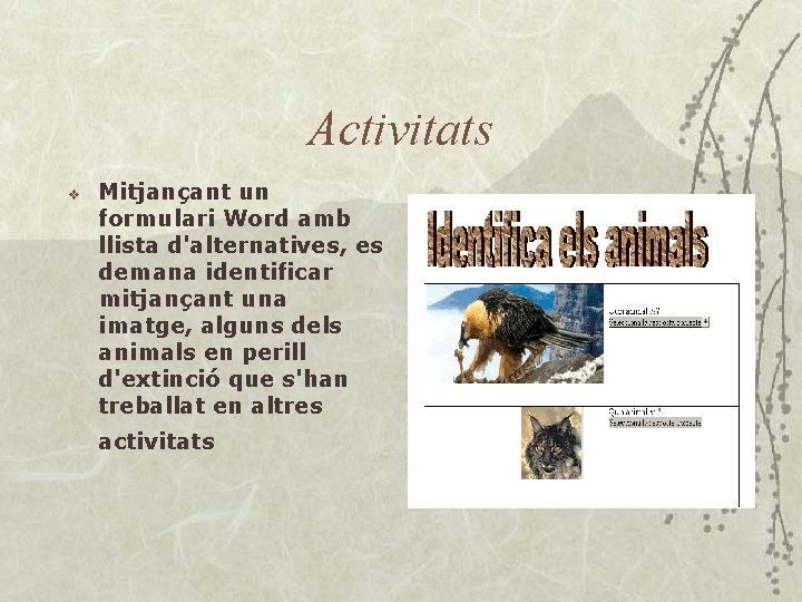 Activitats v Mitjançant un formulari Word amb llista d'alternatives, es demana identificar mitjançant una