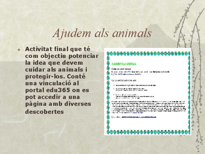 Ajudem als animals v Activitat final que té com objectiu potenciar la idea que