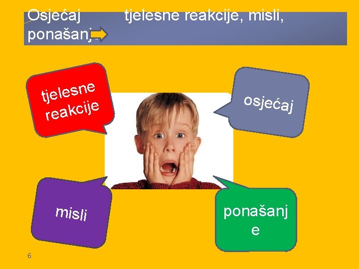 Osjećaj ponašanje e n s e l tje e j i c k rea