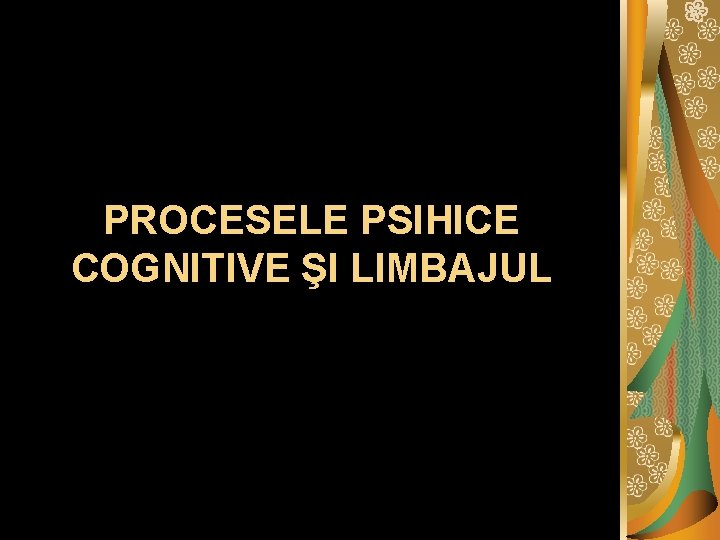 PROCESELE PSIHICE COGNITIVE ŞI LIMBAJUL 