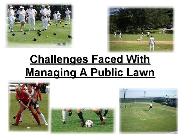 Challenges Faced With Managing A Public Lawn 