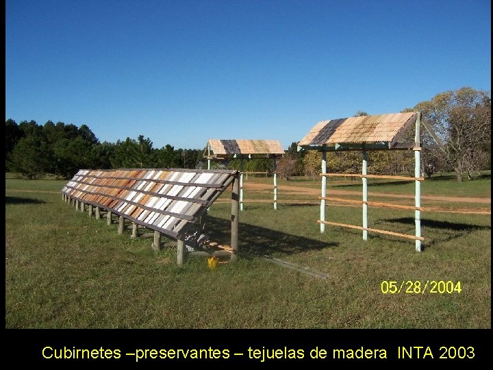 Cubirnetes –preservantes – tejuelas de madera INTA 2003 