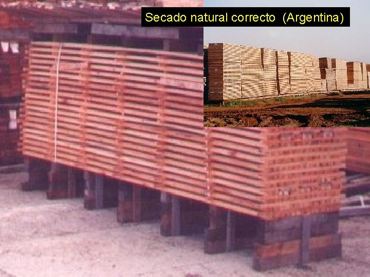 Secado natural correcto (Argentina) 