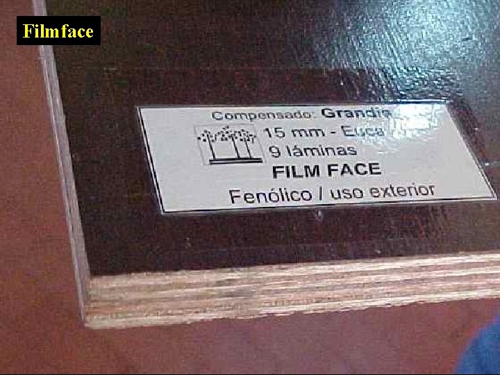 Filmface 