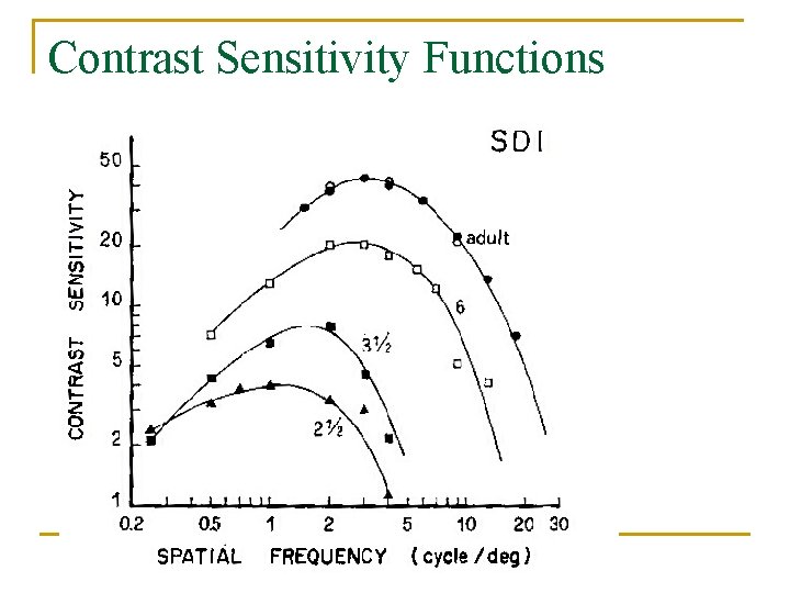 Contrast Sensitivity Functions 