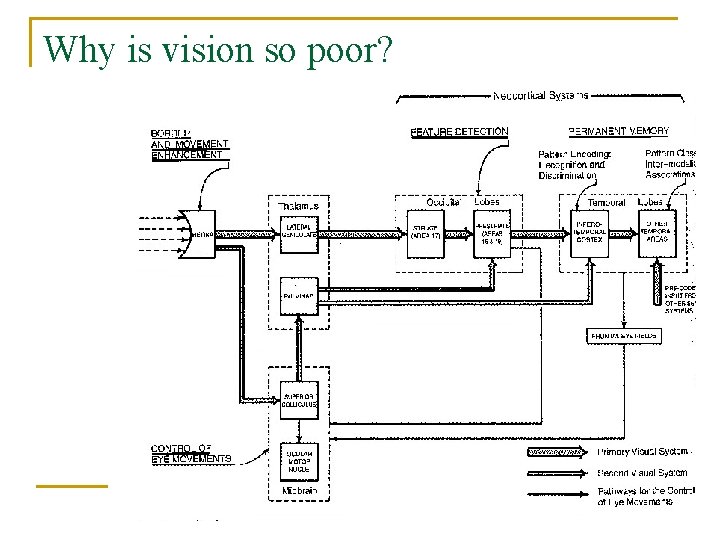 Why is vision so poor? 