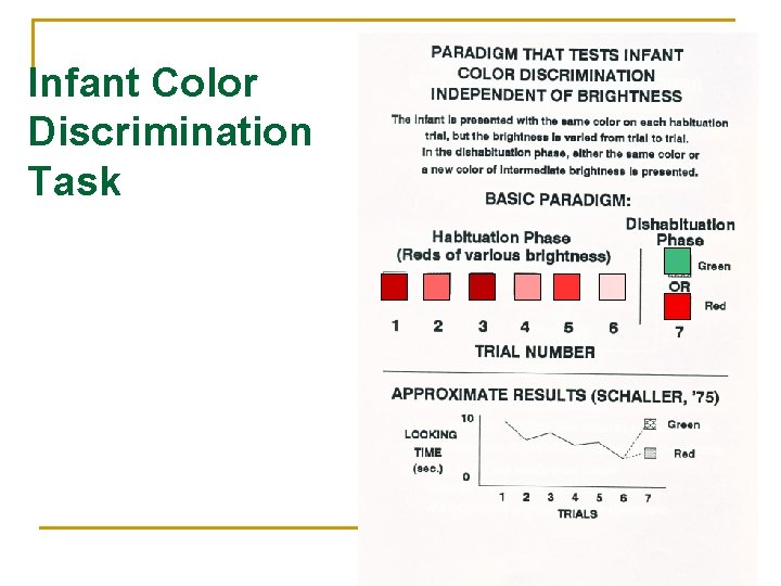 Infant Color Discrimination Task 