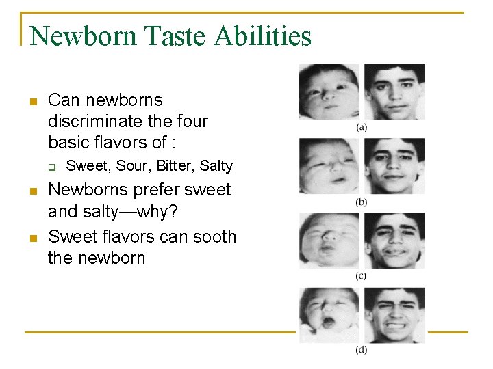 Newborn Taste Abilities n Can newborns discriminate the four basic flavors of : q