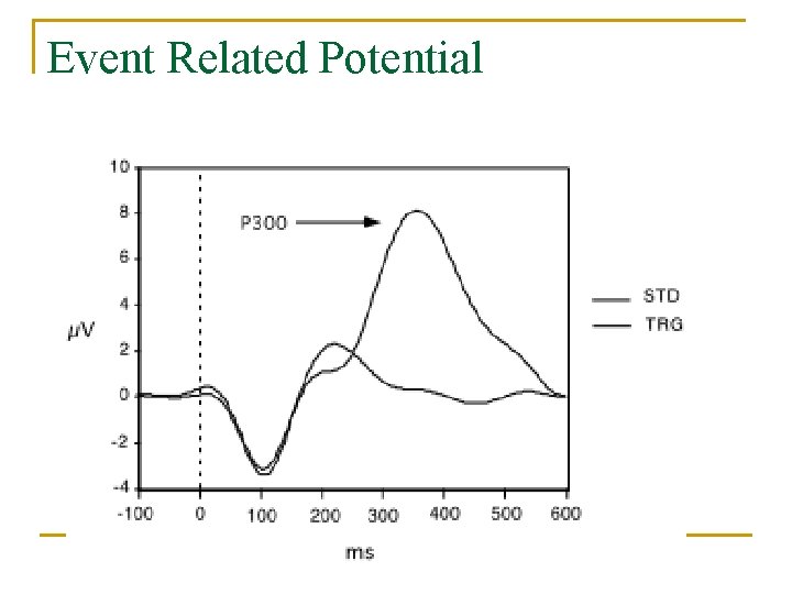 Event Related Potential 