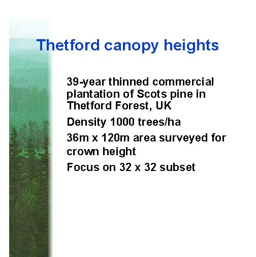 Thetford canopy heights 39 -year thinned commercial plantation of Scots pine in Thetford Forest,
