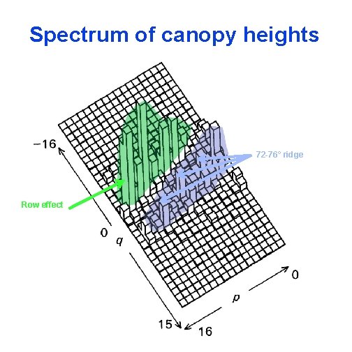 Spectrum of canopy heights 72 -76° ridge Row effect 
