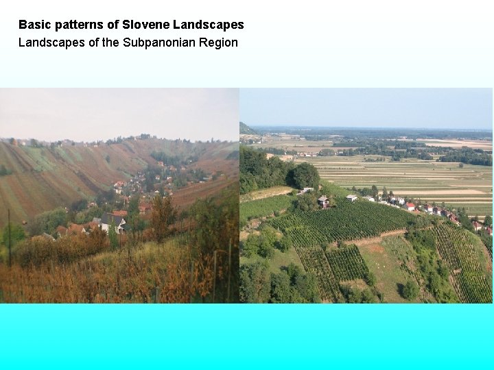 Basic patterns of Slovene Landscapes of the Subpanonian Region Basic patterns of Slovene Landscapes of the Subpanonian Region