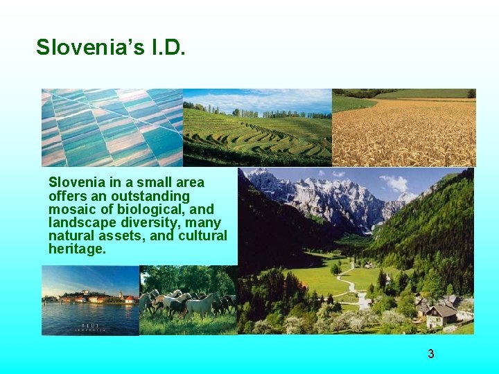 Slovenia’s I. D. Slovenia in a small area offers an outstanding mosaic of biological, Slovenia’s I. D. Slovenia in a small area offers an outstanding mosaic of biological,