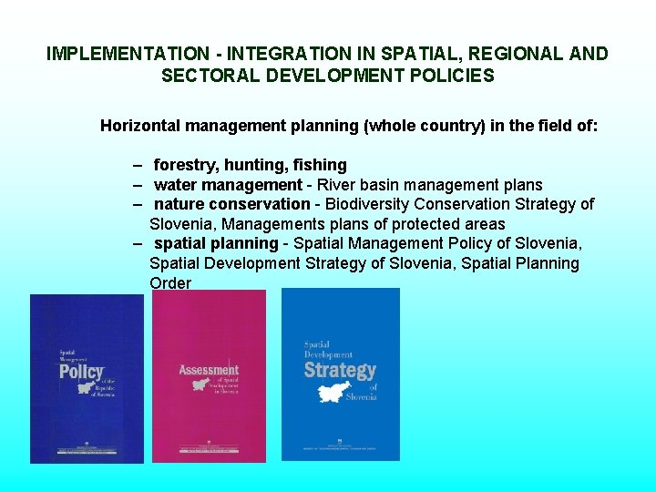 IMPLEMENTATION - INTEGRATION IN SPATIAL, REGIONAL AND SECTORAL DEVELOPMENT POLICIES Horizontal management planning (whole IMPLEMENTATION - INTEGRATION IN SPATIAL, REGIONAL AND SECTORAL DEVELOPMENT POLICIES Horizontal management planning (whole