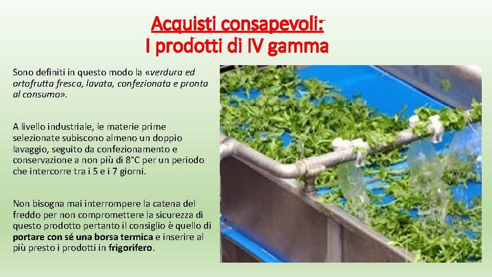 Acquisti consapevoli: I prodotti di IV gamma Sono definiti in questo modo la «verdura