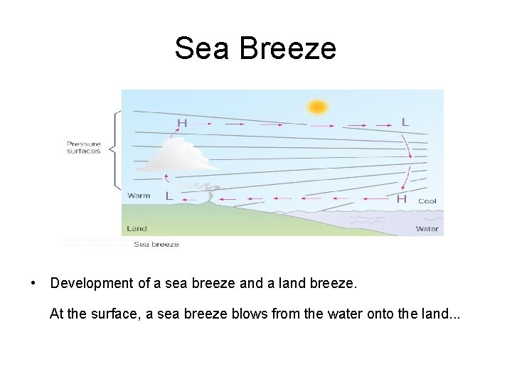 Sea Breeze • Development of a sea breeze and a land breeze. At the