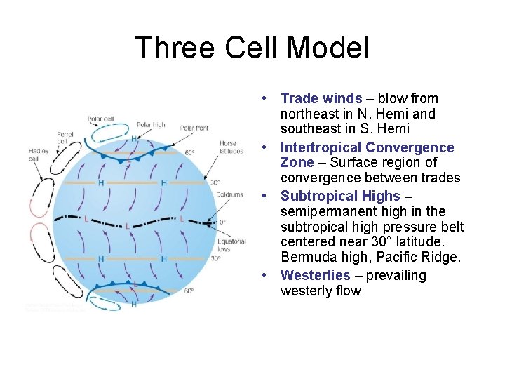 Three Cell Model • Trade winds – blow from northeast in N. Hemi and