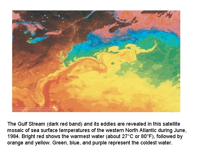 The Gulf Stream (dark red band) and its eddies are revealed in this satellite