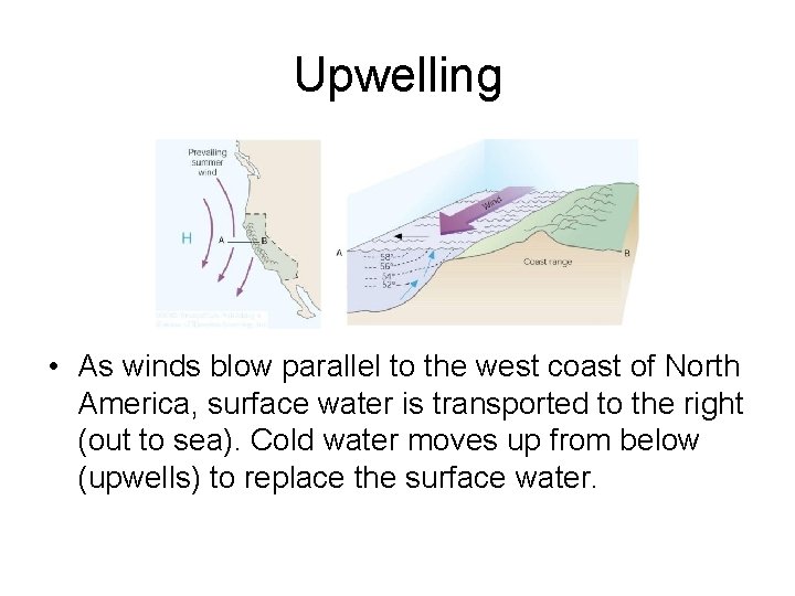 Upwelling • As winds blow parallel to the west coast of North America, surface