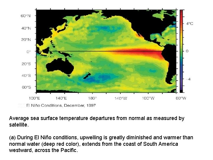 Average sea surface temperature departures from normal as measured by satellite. (a) During El