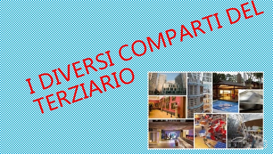 O C I S R E V I O I I D ZIAR R