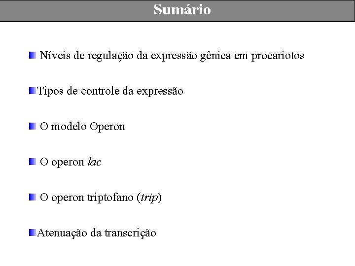 Sumário Níveis de regulação da expressão gênica em procariotos Tipos de controle da expressão