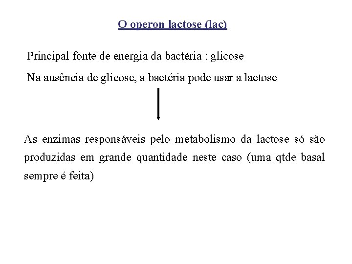 O operon lactose (lac) Principal fonte de energia da bactéria : glicose Na ausência